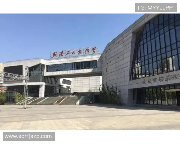 武汉羽毛球队反击之路：胜利与失利的深刻反思与启示