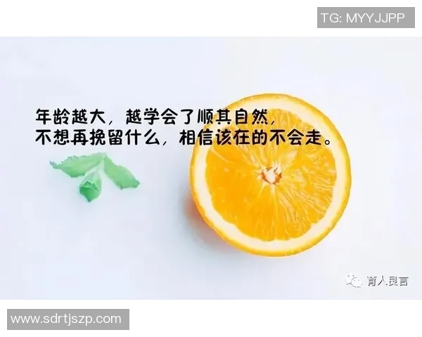 深度对话周敏篮球人生的启示与成长之路