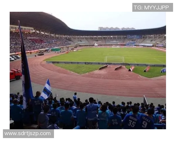 大连足球之星的辉煌历程与成就回顾 大连足球之星的辉煌历程与成就回顾